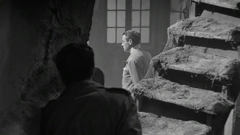 Scene 5