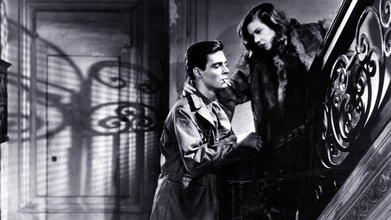 Scene 3
