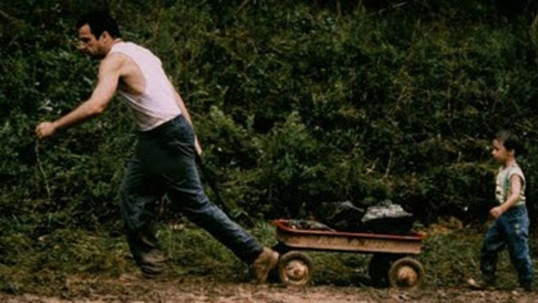 Scene 5