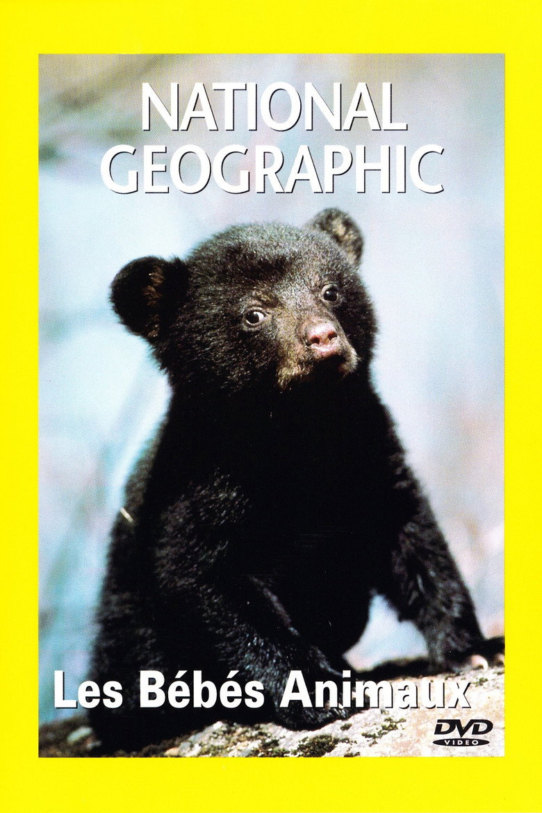 Poster 3