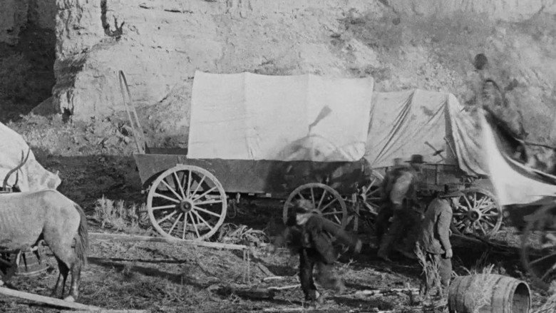 Scene 5
