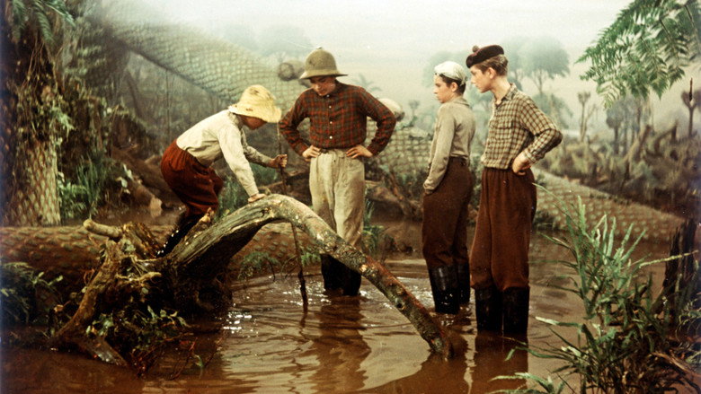Scene 5