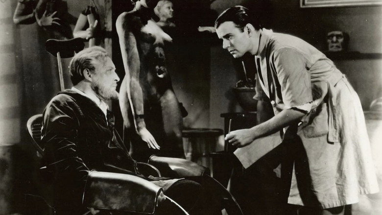 Scene 5