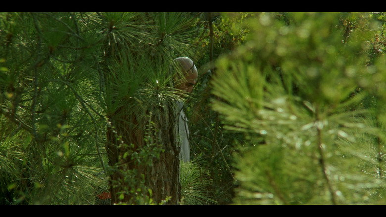 Scene 4