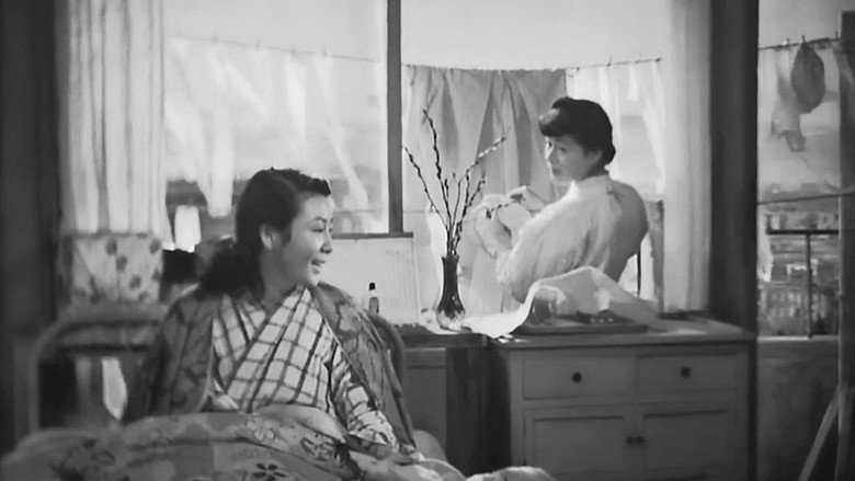 Scene 3