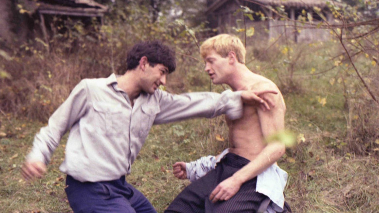Scene 4