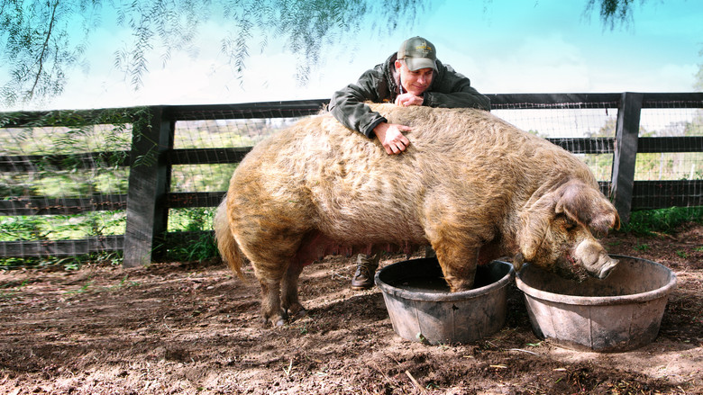Scene 4