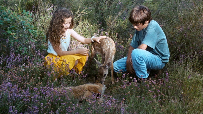 Scene 5