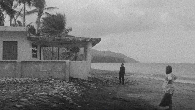 Scene 5