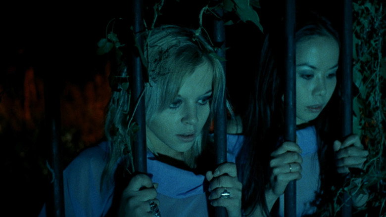 Scene 4