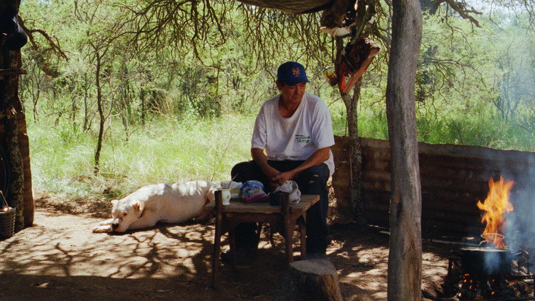 Scene 3
