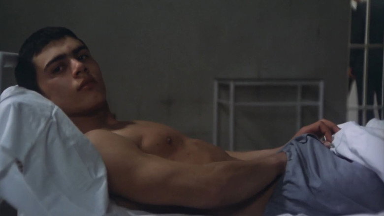 Scene 5