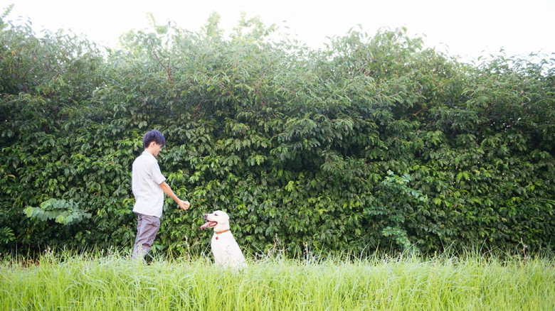 Scene 3