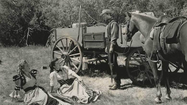 Scene 4