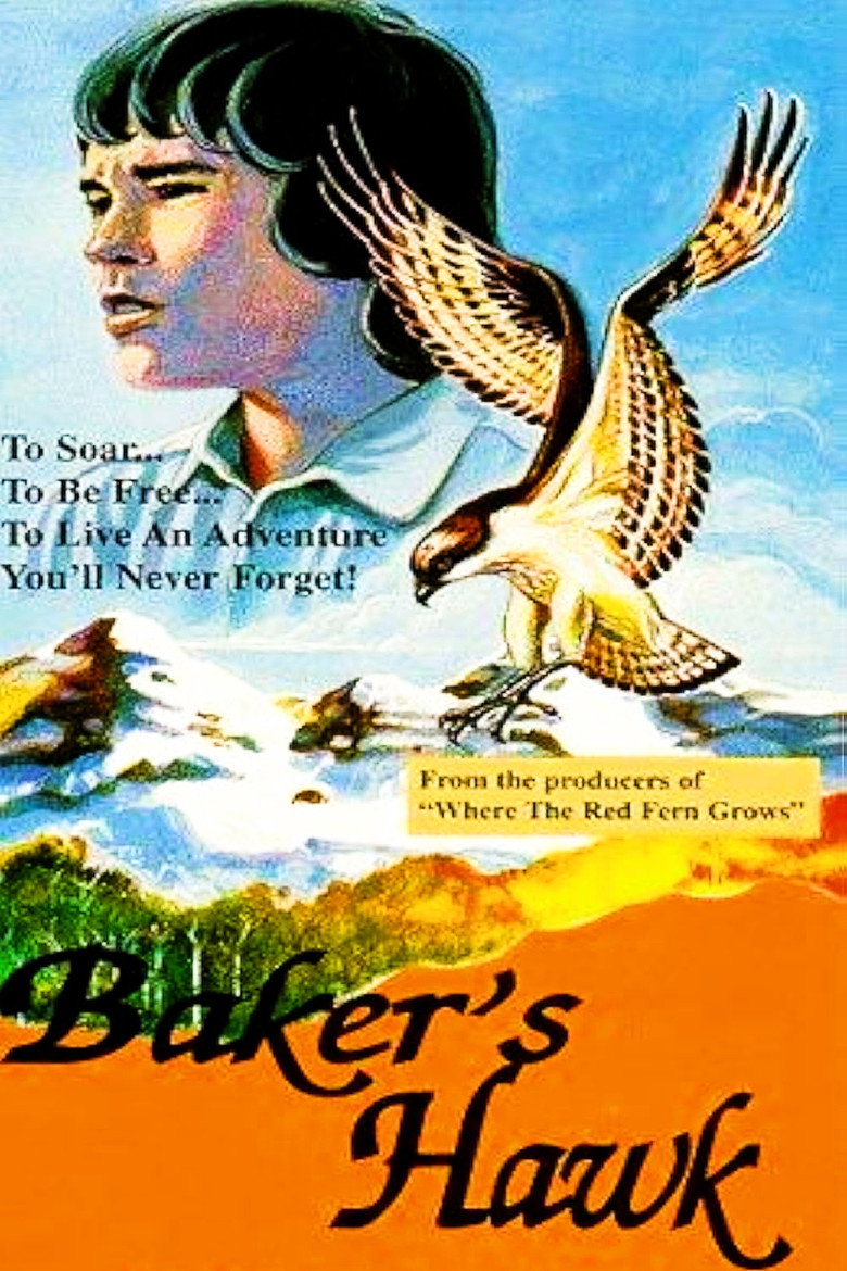 Poster 4