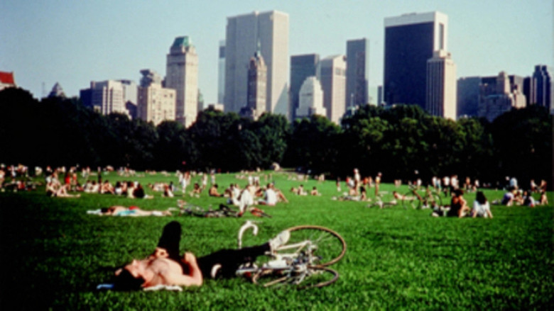 Central Park backdrop