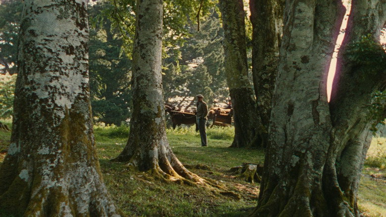 Scene 2