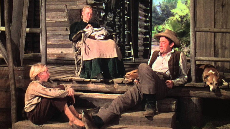 Scene 3