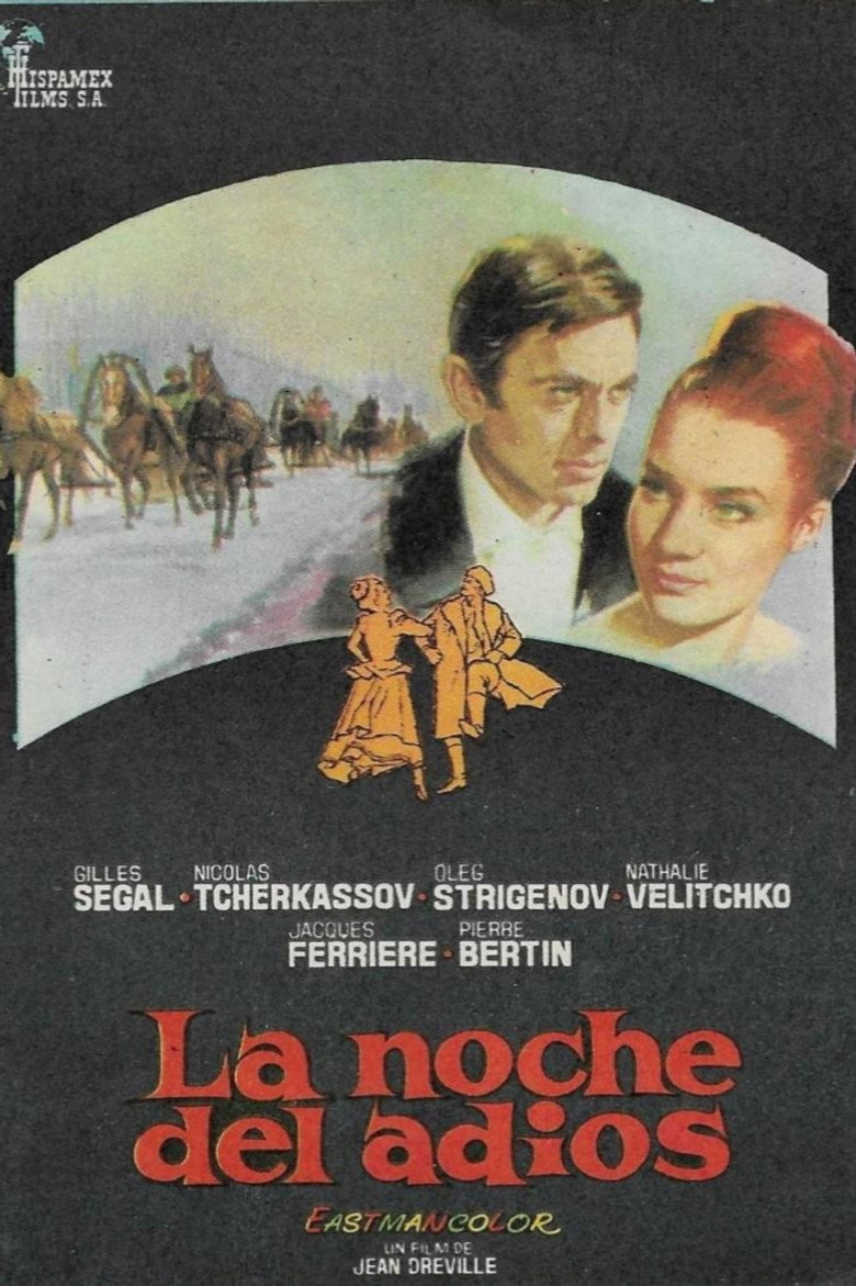 Poster 5