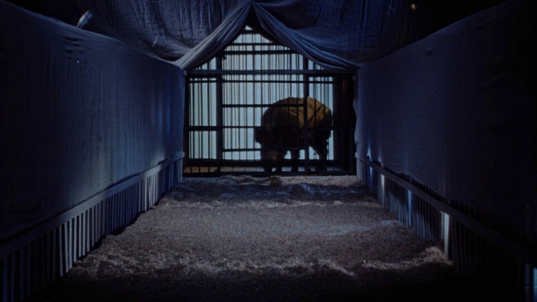 Scene 3