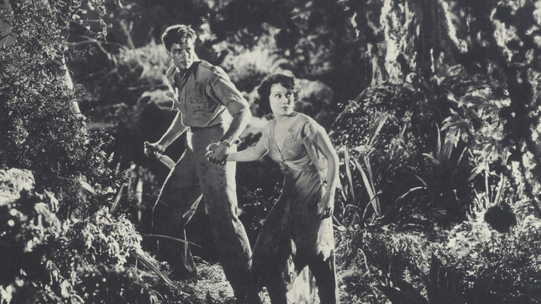 Scene 5