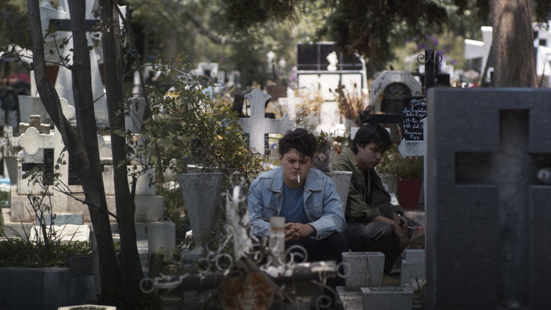 Scene 5