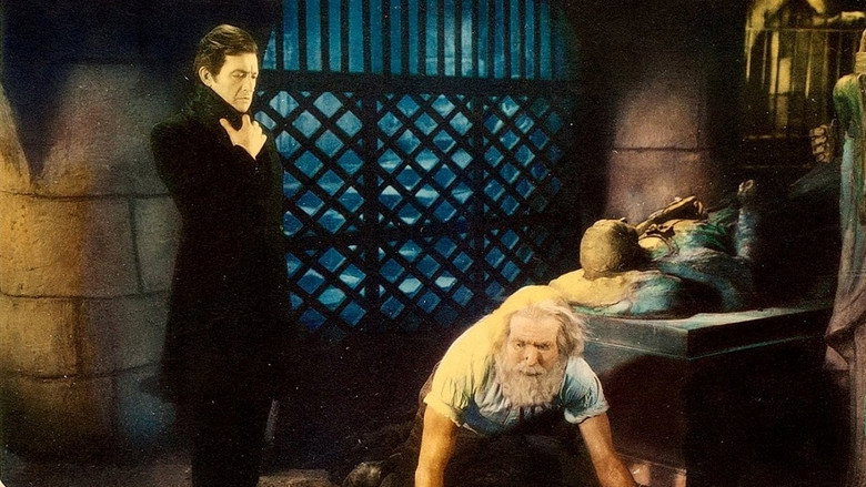 Scene 5