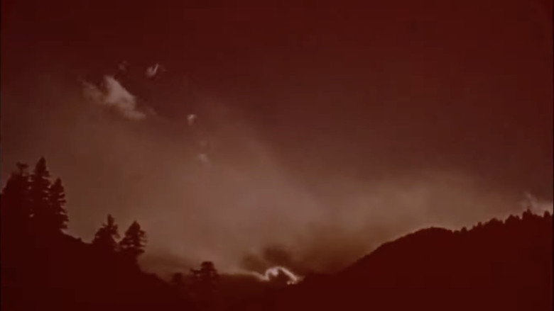 Scene 3