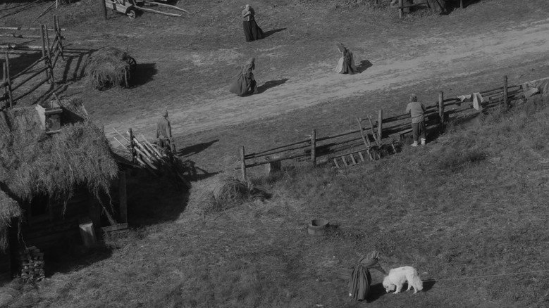 Scene 5