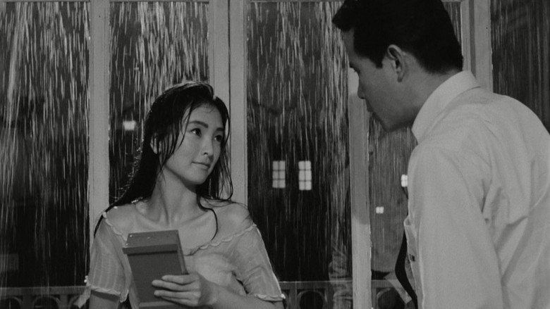 view all