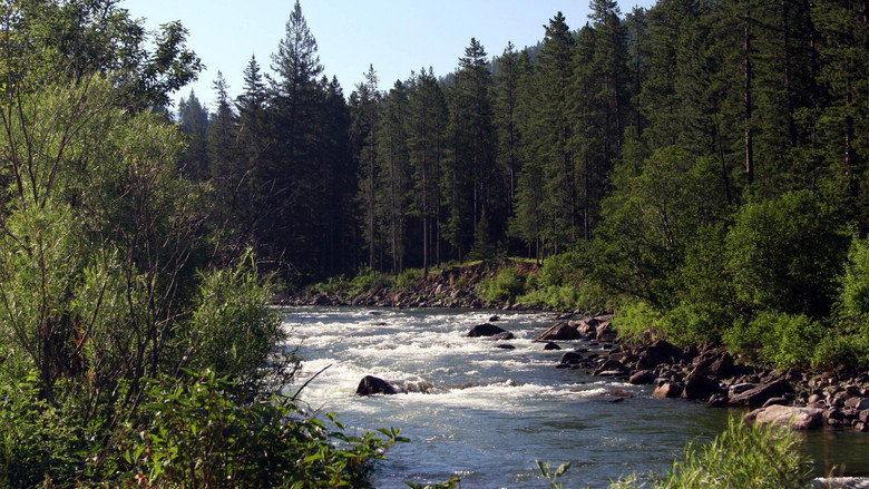 view all