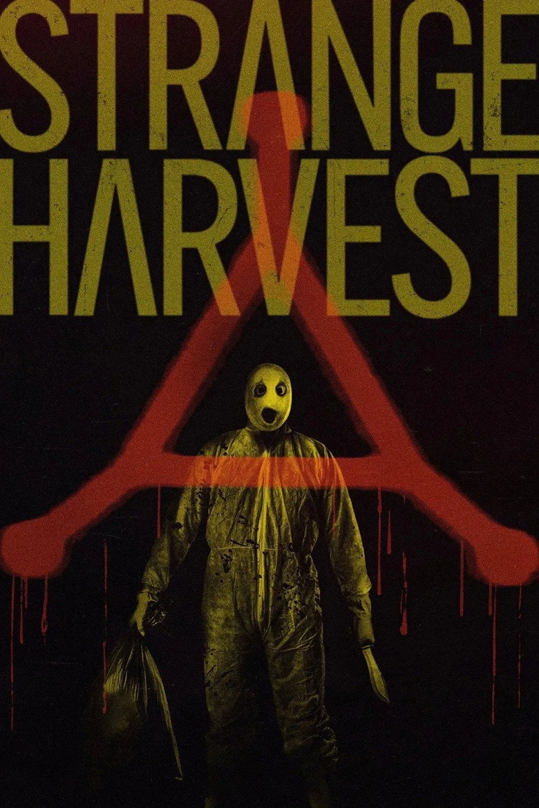 Poster 6