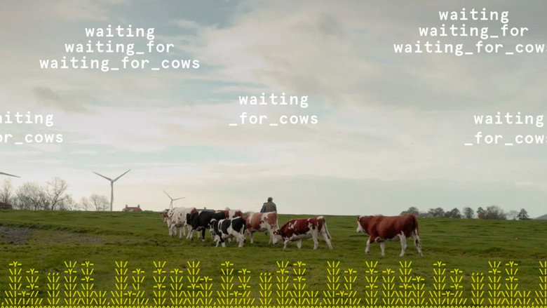 waiting_for_cows backdrop