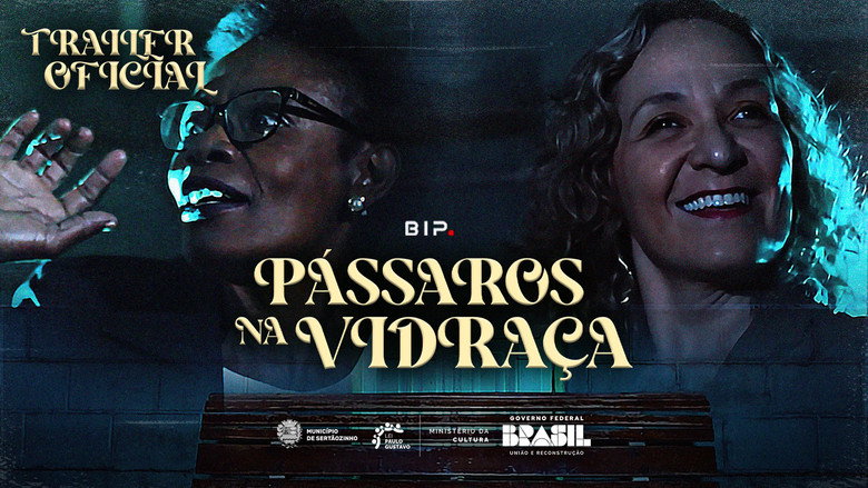 Pássaros na Vidraça