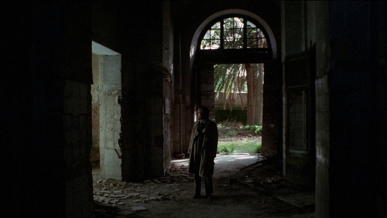 Scene 5