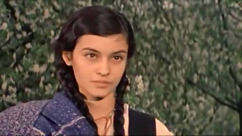 Scene 3