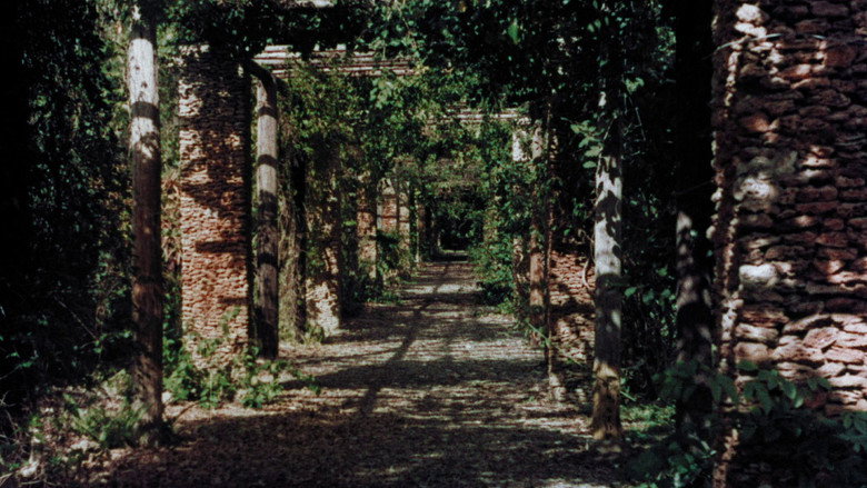 Scene 5