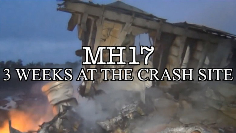 MH17 backdrop