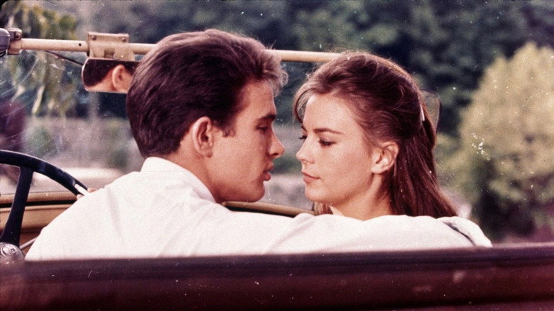 Scene 5