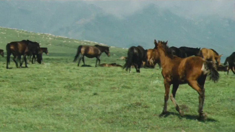 Scene 5