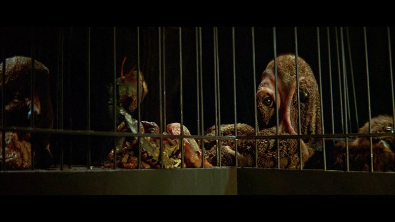 Scene 2