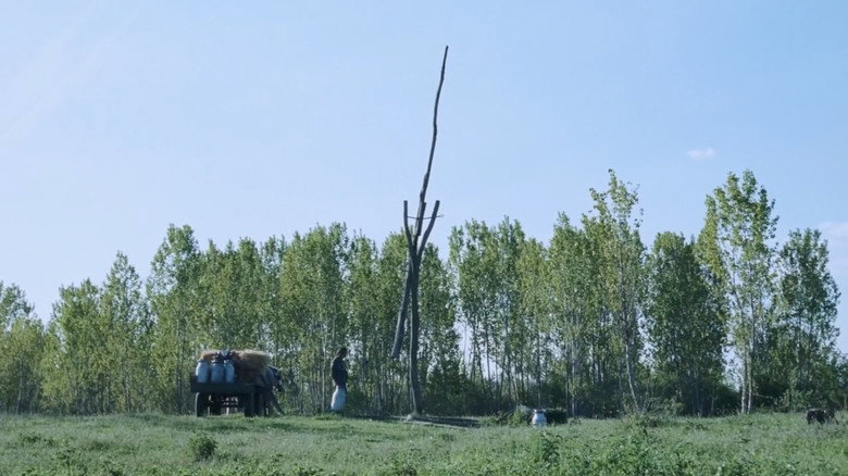 Scene 3
