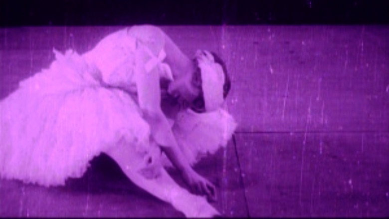 Scene 3