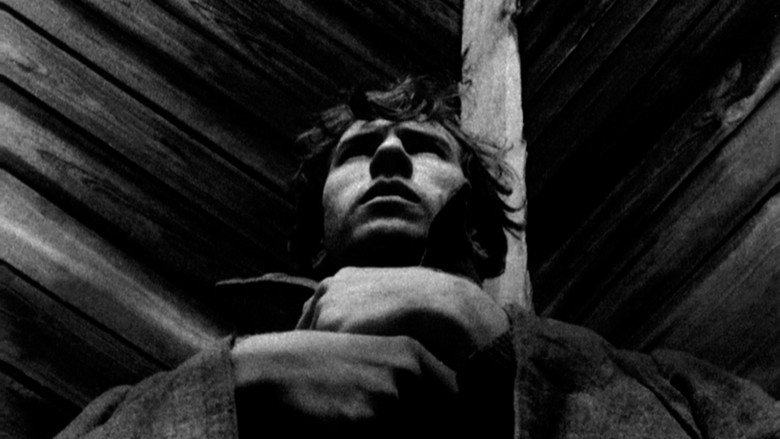 The Lonely Voice of Man