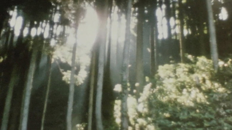 Scene 4