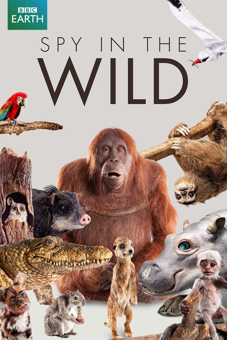 Poster 2