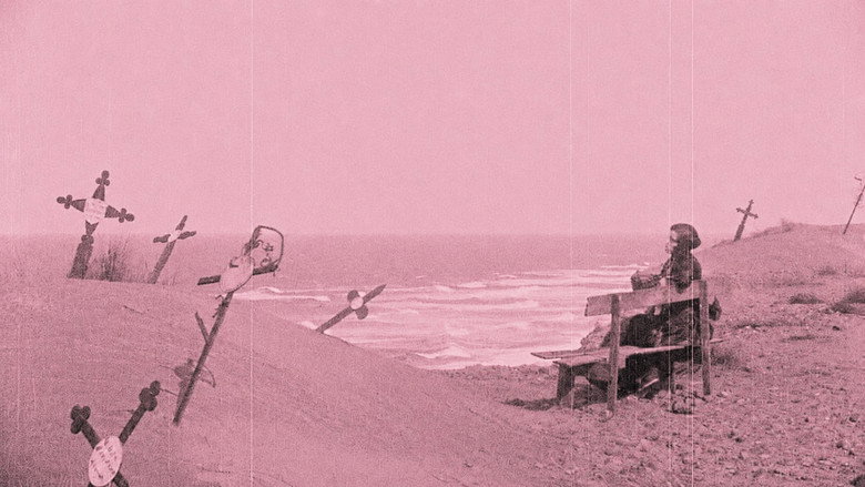 Scene 3