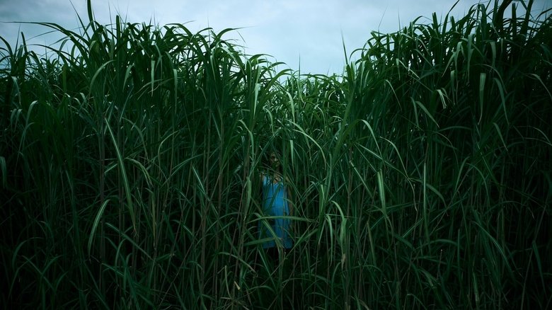 In the Tall Grass backdrop