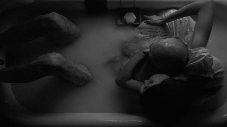 Scene 5