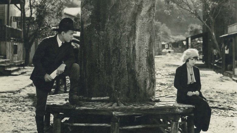 Scene 3